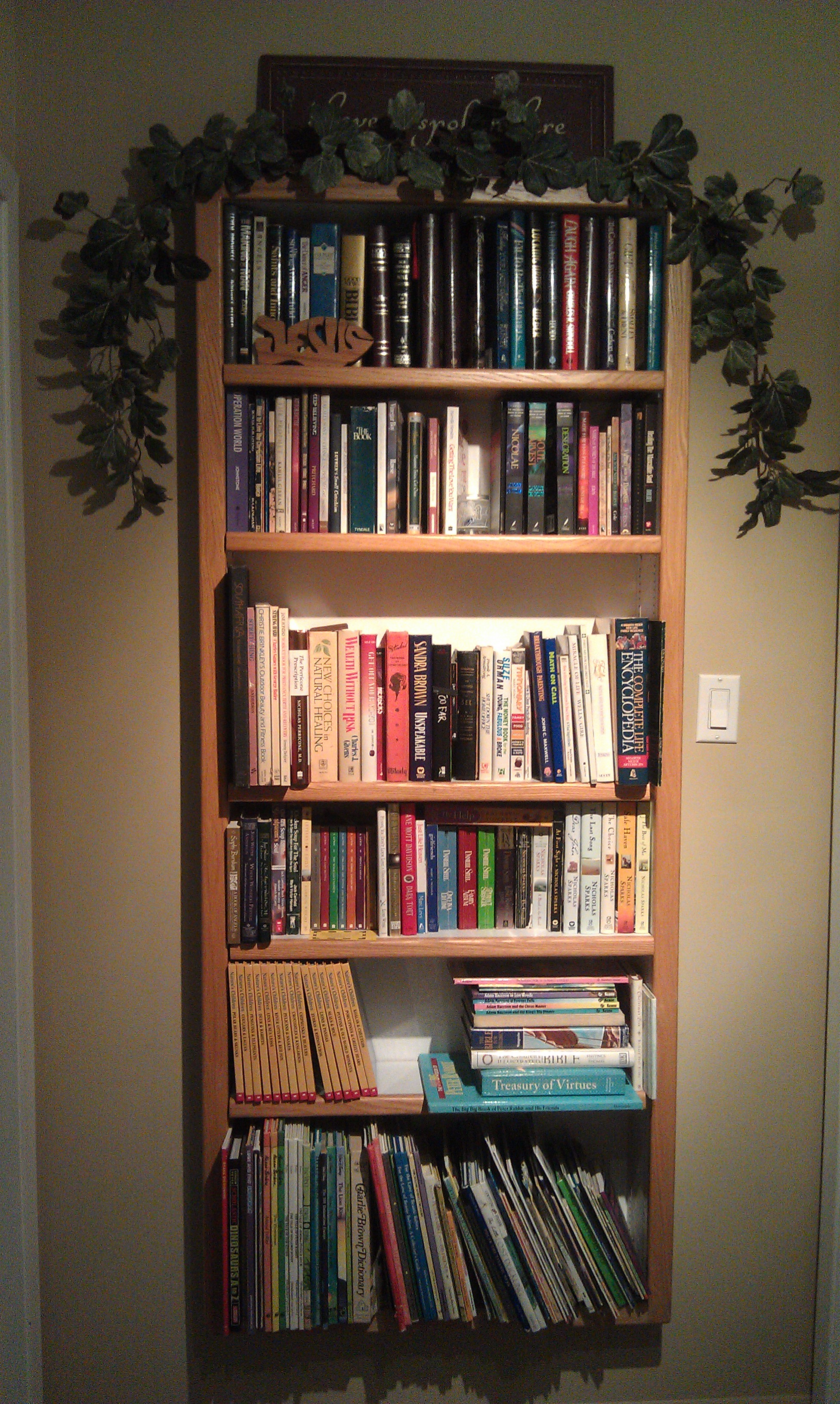 remodels/built-in-shelf_unit.jpg